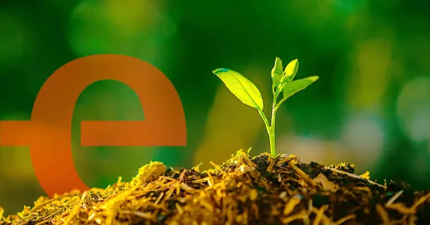 sustentabilidade