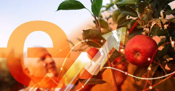 Como impulsionar a produção agrícola através da tecnologia?