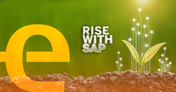 empresa sustentável