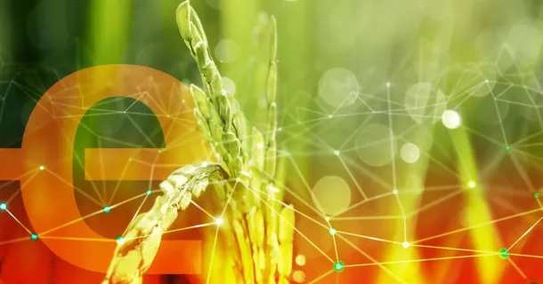 Agro 5.0: o futuro do setor é das novas tecnologias